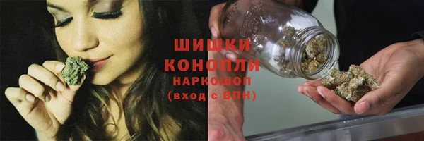 дмт Аркадак