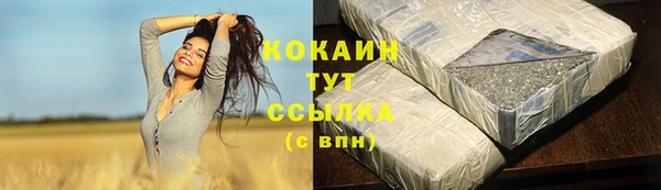 дмт Аркадак