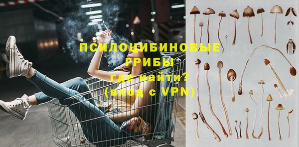 дмт Аркадак