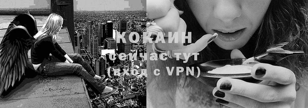 ПСИЛОЦИБИНОВЫЕ ГРИБЫ Армянск