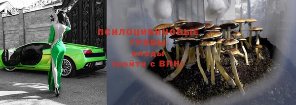 Альфа ПВП Арсеньев